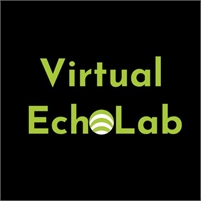  Virtual Echo Lab